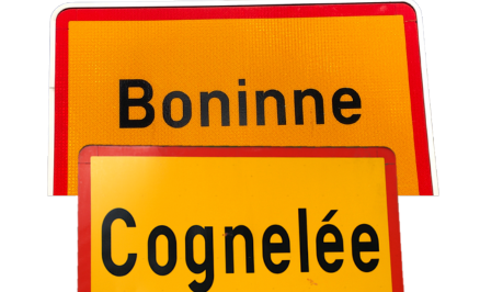 https://www.tanguy-auspert.be/boninne-cognelee/