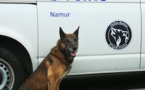 La Brigade Canine a 10 ans